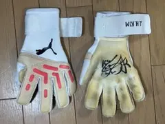 Item thumbnail for item 06864d0f-b963-46cc-a723-e5e34451f723