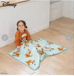 【新品タグ付】バースデイ　Nana ピーターパン　ナナ 毛布　ディズニー