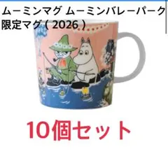 【新品】【大幅値下げ】ムーミンバレーパーク限定　アラビア　マグカップ　10個