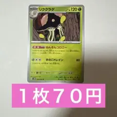 リククラゲ　ねんきんコロニー