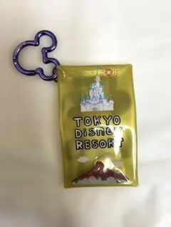 美品　東京ディズニーリゾート　パーク柄　カラビナ付きケース