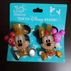 東京ディズニーリゾート 30周年記念ピンズセットのサムネイル