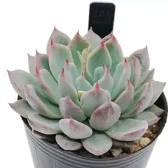 ☆non☆様 リクエスト 3点 まとめ商品