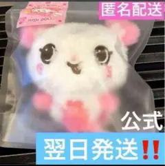 NCT WISH WISH DOLL ぬいぐるみ steady サクヤ パン