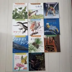 小学校受験 絵本