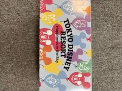 Item thumbnail for item 9797f65f-03ea-48ac-815b-26630b23bd19