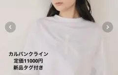 Item thumbnail for item 5178388c-d6e5-401c-be90-0ccaa26e55d6