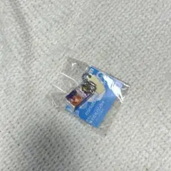 ミニチュアチャーム Lipton グレープティー ガチャ