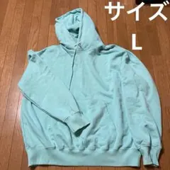 WEGO パーカー ミントグリーン ユニセックス L 大きいサイズ