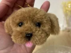 -手のひらサイズのトイプードル ポンポンチャーム-のサムネイル