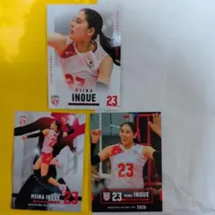 バレーボール女子日本代表 2026 井上未唯奈　3枚セット