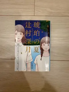 琥珀の夏 / 辻村深月