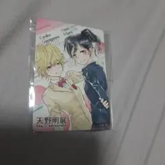 天野明展 家庭教師ヒットマンREBORN マグネットステッカー 京子 ハル