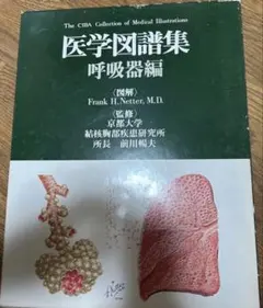 Item thumbnail for item ea3d9c8d-918f-4ffe-bdbe-3783928b4b92