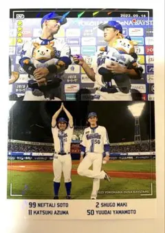 横浜DeNAベイスターズ 山本祐大 東克樹 牧秀悟 ソトマイベイスターズ カード