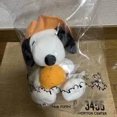 送料無料】済州島 スヌーピーガーデン ぬいぐるみ トルハルバン 韓国