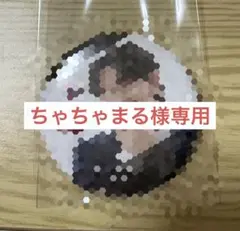 ちゃちゃまる様専用