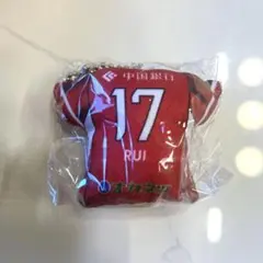 ファジアーノ岡山　ユニフォームクッション　末吉塁 選手　17