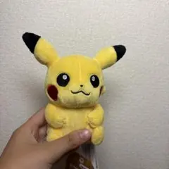 ポケモンセンター fit ピカチュウ ぬいぐるみ