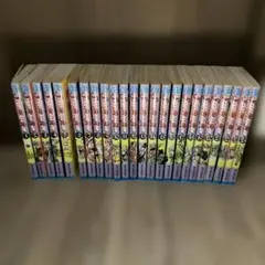 た*し様 ジョジョの奇妙な冒険　7部　SteelBallRun スティールボール