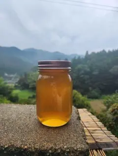 日本蜜蜂