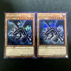 釣り迷人様 リクエスト 2点 まとめ商品