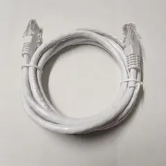 LANケーブル ホワイトのサムネイル