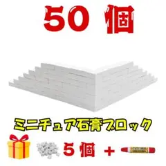 ミニチュア 石膏ブロック 55個セット 1/10 ドールハウス ジオラマ 素材