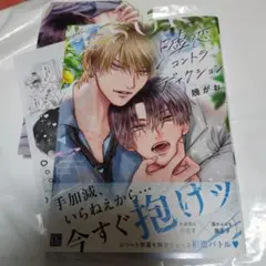 ＢＬ　嘘恋コントラディクション／幾がお