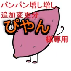 ぴやん様専用　パンパン増し増し追加分