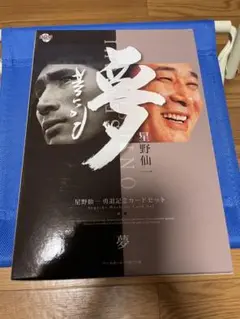 【匿名配送】星野仙一　勇退記念カードセット　レギュラー45枚