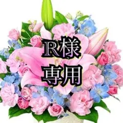 R様 リクエスト 2点 まとめ商品