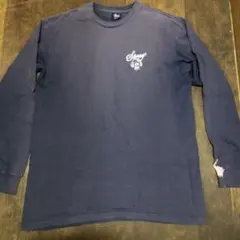 Stussy skull purple ロンT