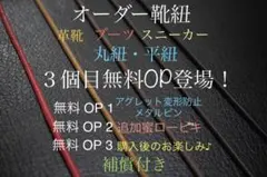 Item thumbnail for item 2080ec26-0438-4da9-9312-87fb803f8148