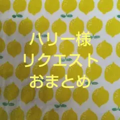 ハリー様 リクエスト 2点 まとめ商品