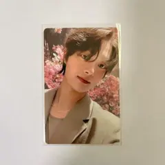 &TEAM EJ トレカ 雪明かり