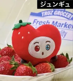 TREASURE TRUZ ジュンギュ FRUIT ぬいぐるみキーリング
