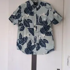 Item thumbnail for item a2a1889d-64ef-41e0-a5fe-19afd384b74a