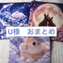 U様　おまとめ　うさぎ紫陽花　ポーチ