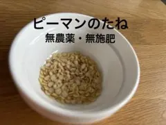 momo様 リクエスト 3点 まとめ商品