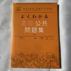 よくわかる高校公共問題集