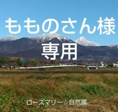 もものさん様専用