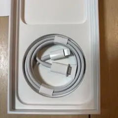 Item thumbnail for item ed0d2d47-6411-4bc8-838d-9fa763746b2f