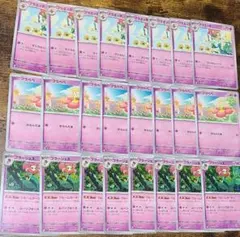 フラージェス、ふらべべ、フラエッテ24枚