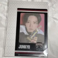 TREASURE オフライン限定　L-holder ジュンギュ