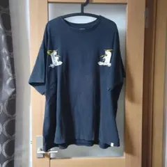 ファセッタズム　facetasm　アラスカ刺繍 alaska スカTシャツ 2026年最新】facetasm アラスカの人気アイテム - メルカリ
