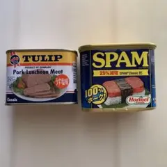 ランチョンミートのサムネイル