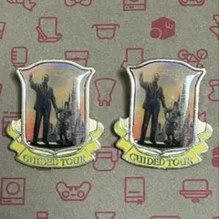 ディズニーランド 非売品バッチ 2個セット B