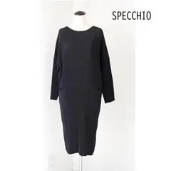 SPECCHIO スペッチオ シャトルプリーツ ポケット付 ワンピース 40 黒