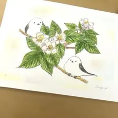 原画「シマエナガ ラブー2」アクリル画 キャンバス 手描き アート